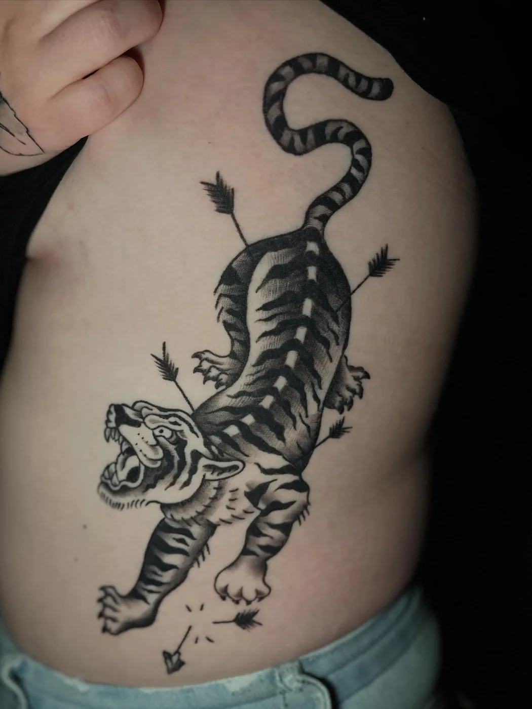 Traditional tiger with arrows, rib piece by Ky Bell, Alliance Tattoo Eugene Oregon
